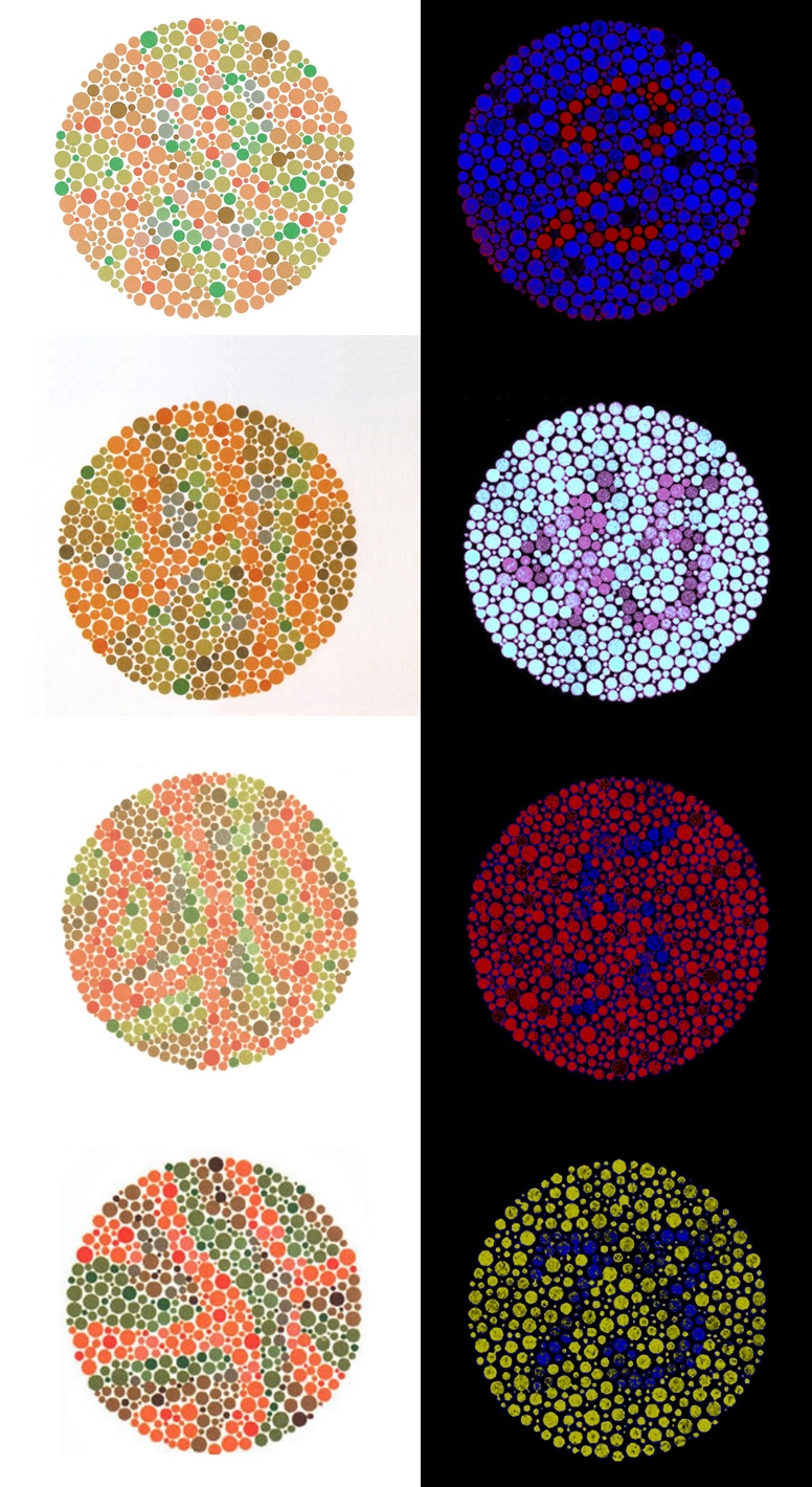 Ishihara hidden plates color blind test